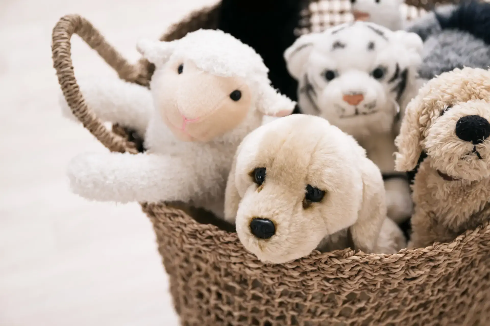 Kuscheltiere in einem Korb – kindgerechte Ausstattung der Logopädie-Praxis