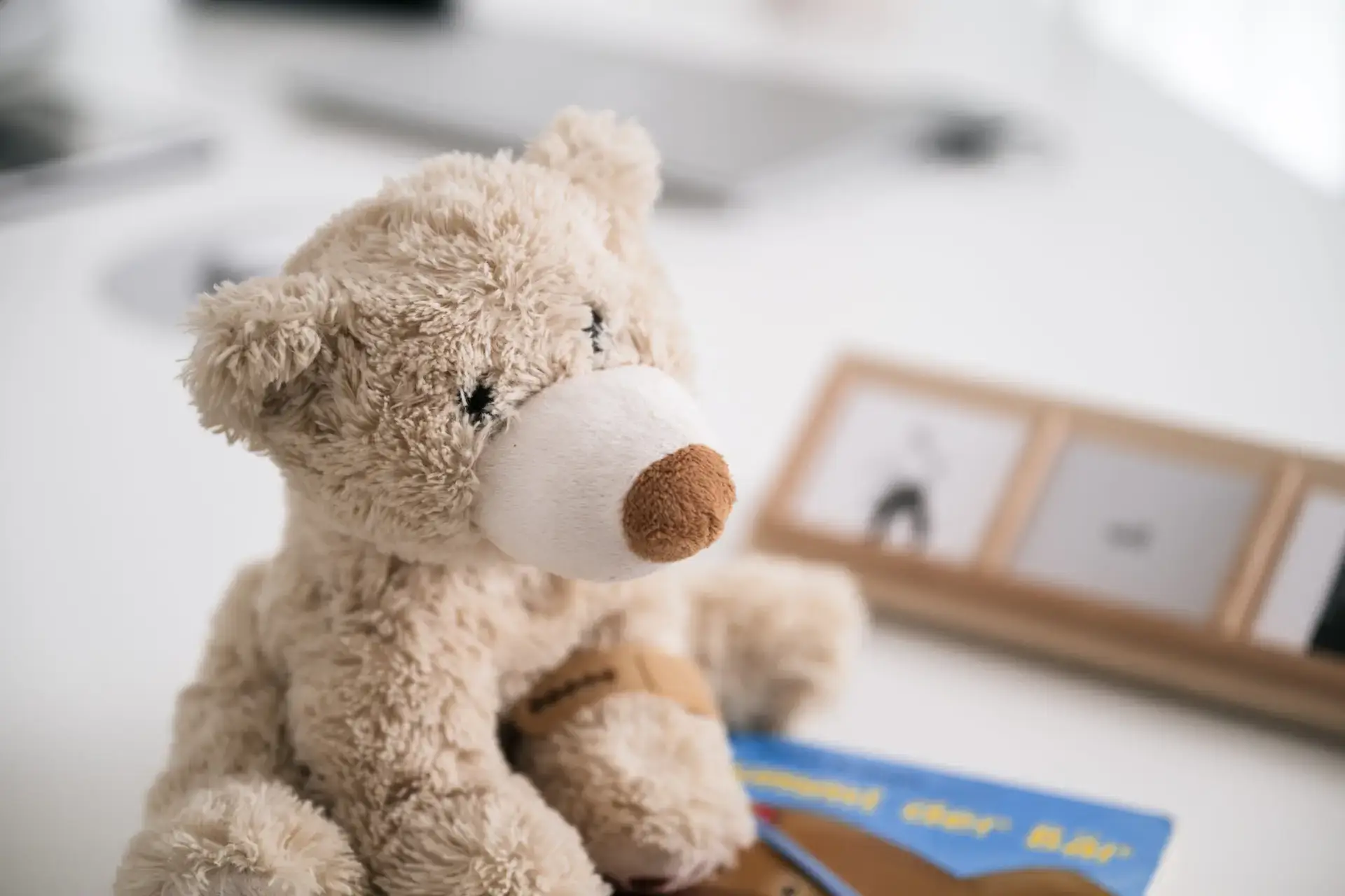 Plüsch-Teddybär im Therapieraum der Logopädie-Praxis